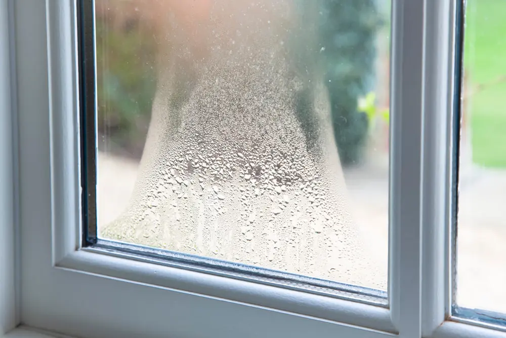 window glass pane